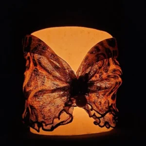 Whispering Butterfly - Image 3