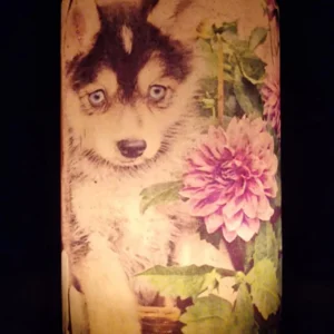 A Loyal Heart in Bloom - Image 3