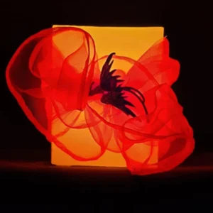 Wings of Freedom - Image 3