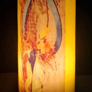 Radiance in Bloom - Image 3