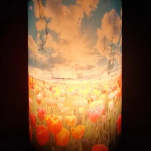Sea of Tulips - Image 3