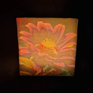 A Bee's Haven - Image 3