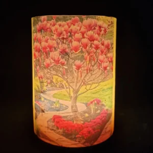 Whispers of Magnolia - Image 3