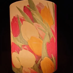 Rainbow Tulips - Image 3