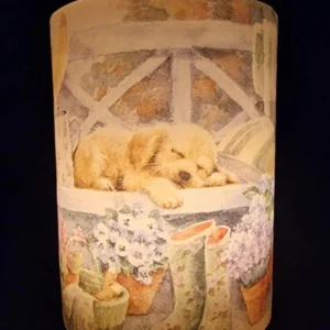 The Gentle Companion - Image 3