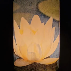 The Lily's Reflection - Image 3