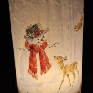 Frosty Friend - Image 3