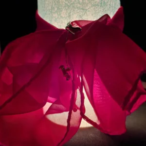 Nature's Elegance - Image 3