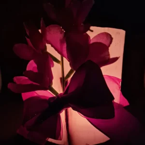 Garden of Violet - Image 3