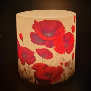 Poppy Bloom - Image 3