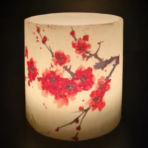 Scarlet Gladiolus - Image 3