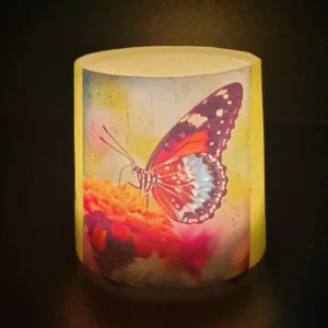 Wings of Grace - Image 3