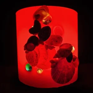 Seashelss & Glass Beads - Image 3