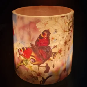 The Butterfly's Dance - Image 3