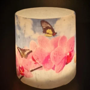 The Orchid's Grace - Image 3