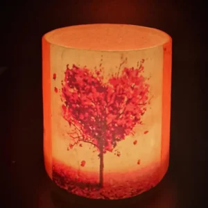 The Heart of Nature - Image 3